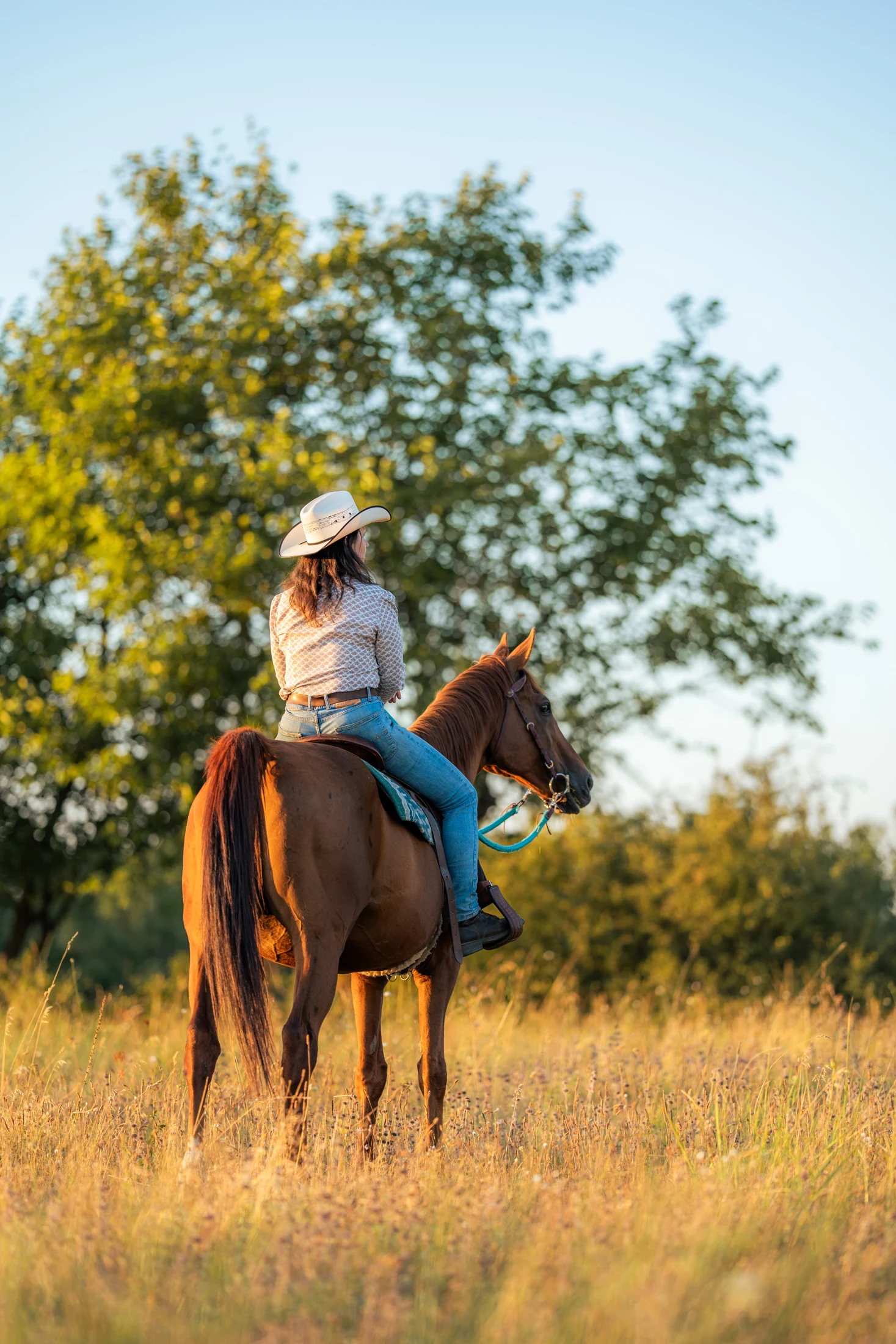 Rólunk kép